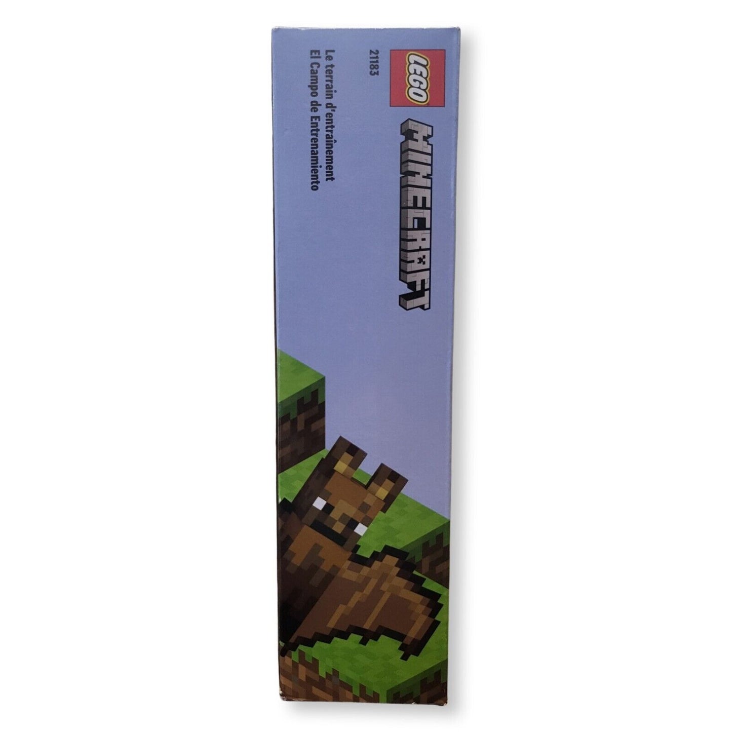 LEGO Minecraft The Training Grounds House Building Set, 21183 Cave Toy, Gifts for Kids, Boys and Girls with Skeleton, Ninja, Rogue and Bat Figures - Ricky's Garage