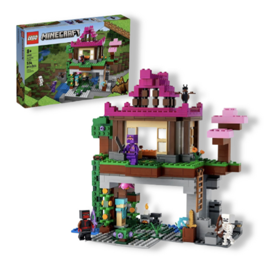 LEGO Minecraft The Training Grounds House Building Set, 21183 Cave Toy, Gifts for Kids, Boys and Girls with Skeleton, Ninja, Rogue and Bat Figures - Ricky's Garage