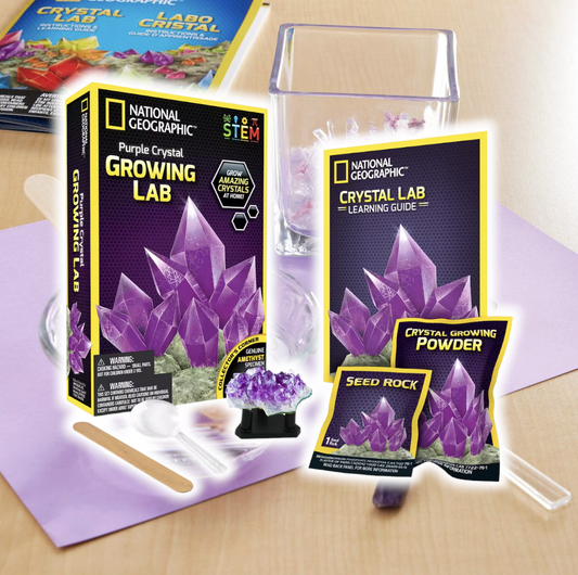 Grow Your Own Crystals at Home with National Geographic's Crystal Growing Lab - Educational Science Kit for Kids - Ricky's Garage