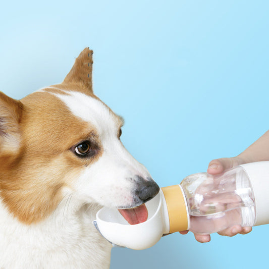 Portable Dog Drinking Water cup with food cup - Ricky's Garage